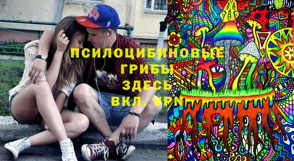 шишки Навашино