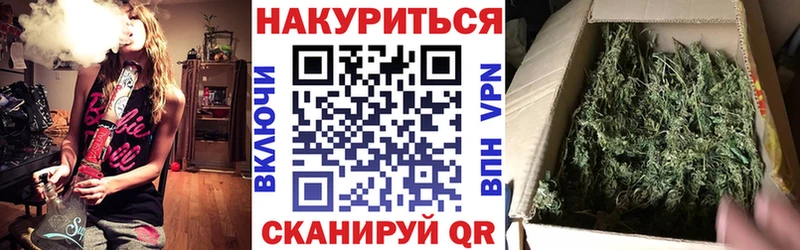 Купить закладки  Зеленоградск  МАРИХУАНА сатива 